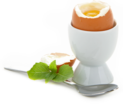 SOFT-BOILED EGG