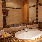 Bathroom of the standard double room